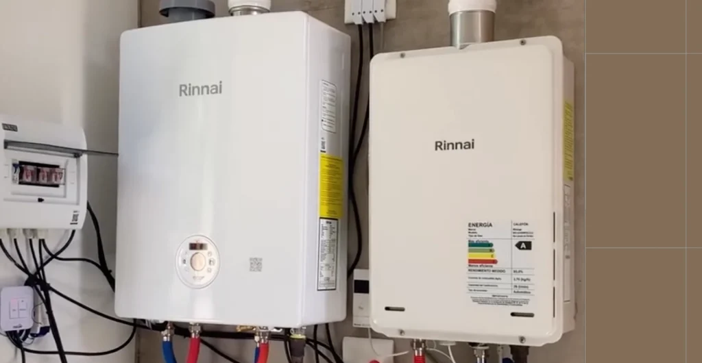 renovación de calderas rinnai