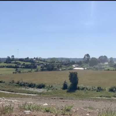 Captura de pantalla 2026-02-02 a la(s) 9.57.43 a.m.